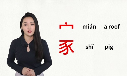 龟板炒白术茯苓山楂的功效与作用网 | 龟板土茯苓医案,龟板 茯苓 泽泻